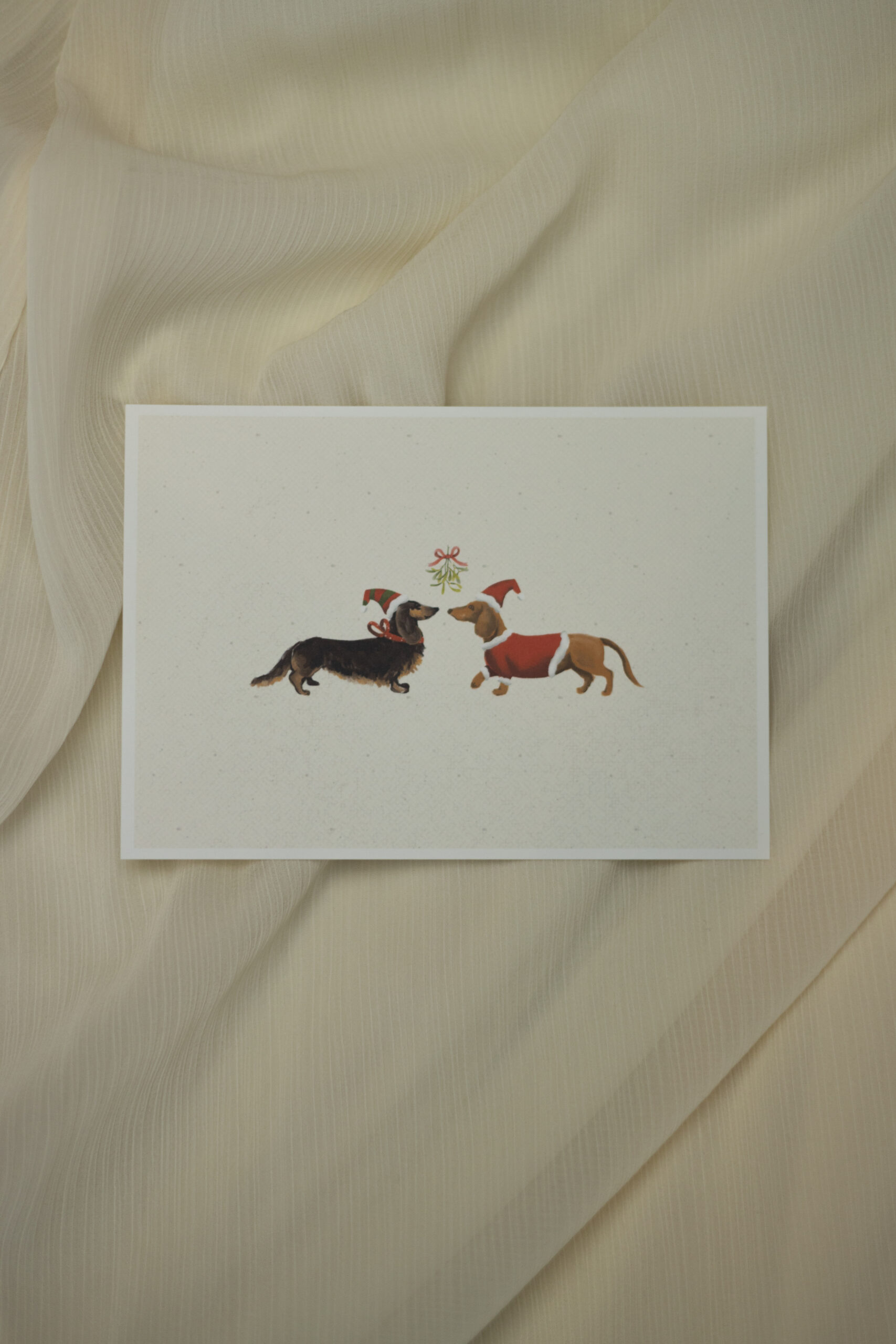 Weihnachtskarte mit Dackeln